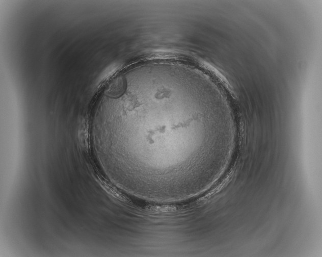 X0000116431403200912081515