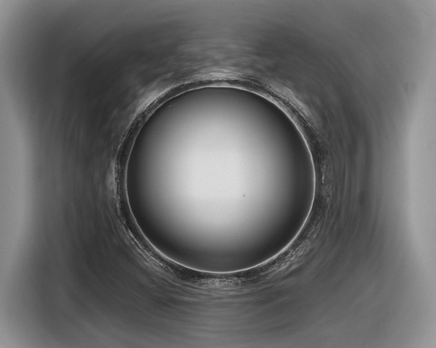 X0000116431404200912081515