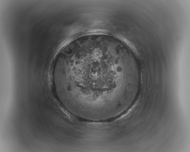 X0000116431405200912081515