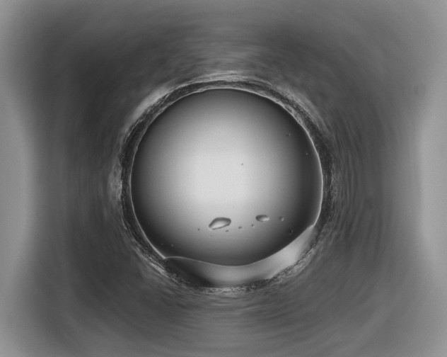 X0000116431406200912081515
