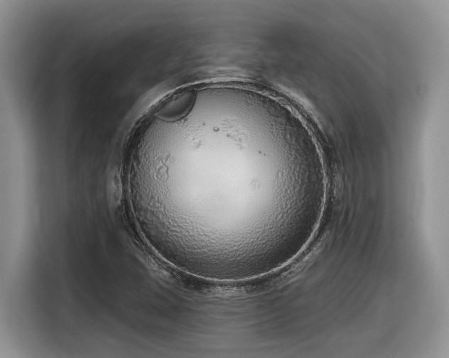 X0000116431407200912081515