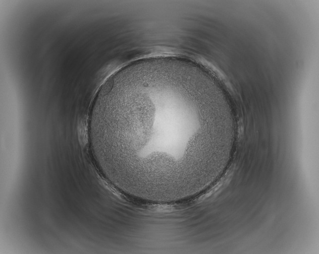 X0000116431409200912081515