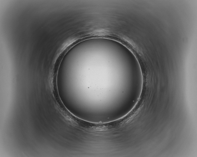 X0000116431410200912081515