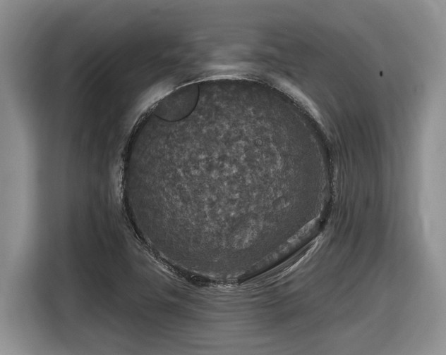 X0000116431411200912081515