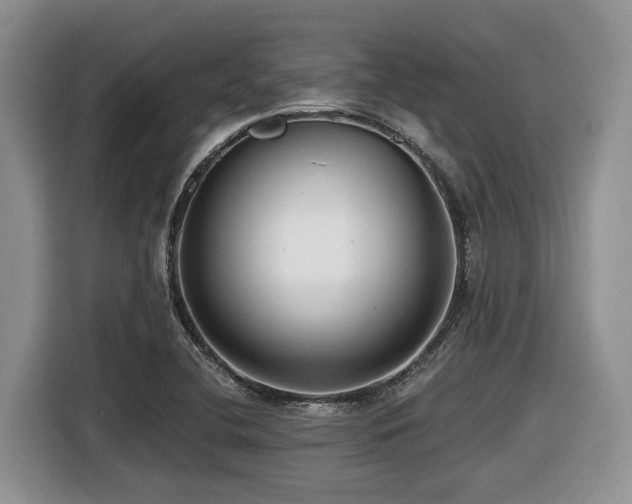 X0000116431412200912081515