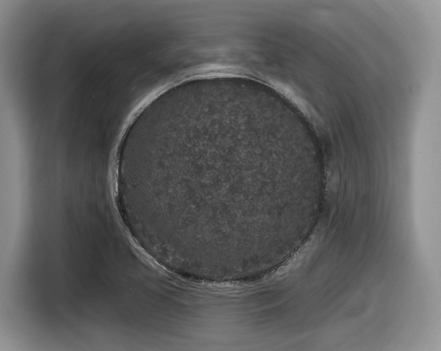 X0000116431413200912081515