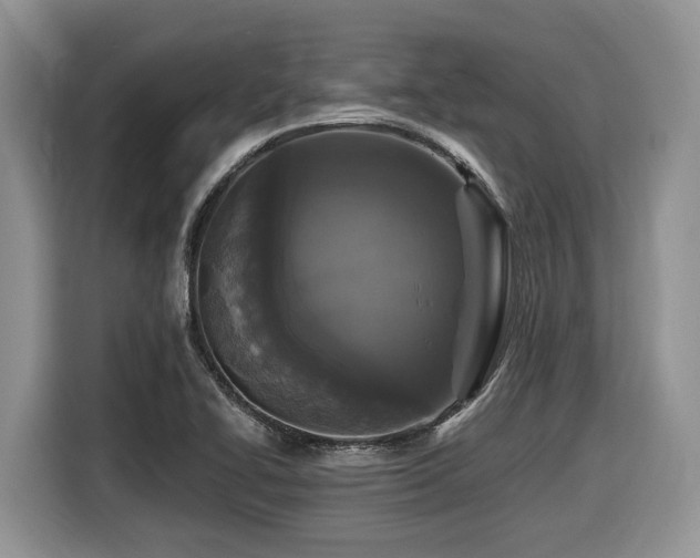 X0000116431414200912081515