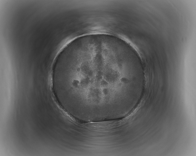 X0000116431415200912081515