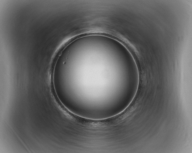 X0000116431416200912081515