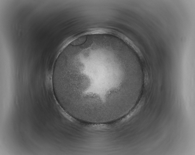 X0000116431417200912081515
