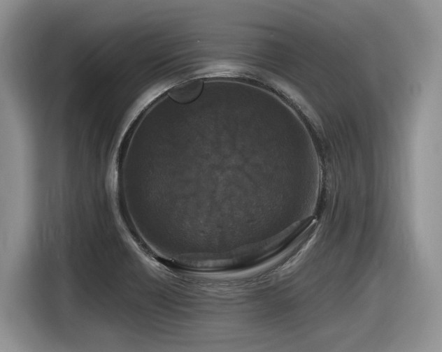 X0000116431418200912081515