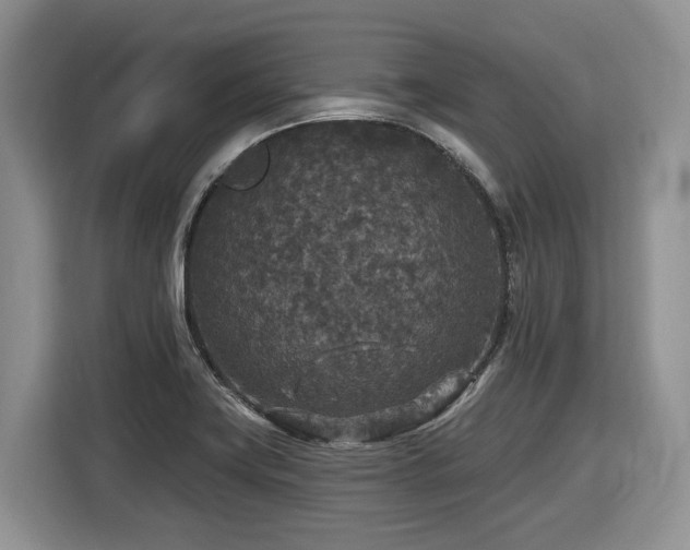 X0000116431419200912081515