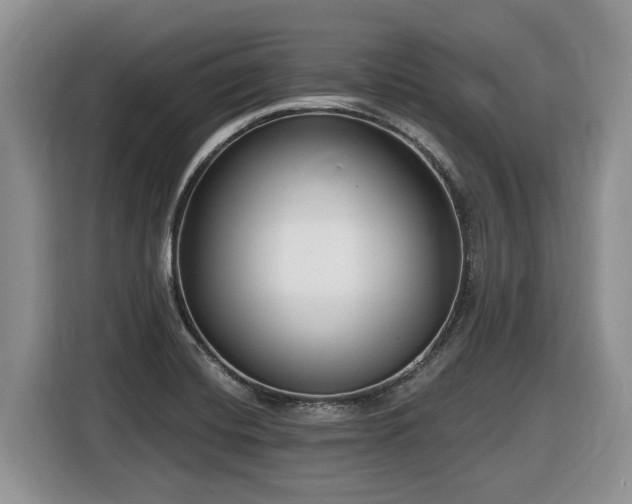 X0000116431420200912081515