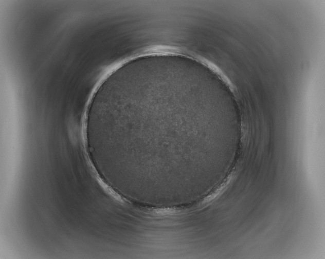 X0000116431421200912081515