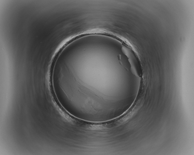 X0000116431422200912081515