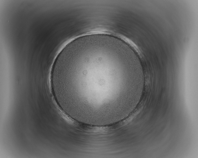 X0000116431423200912081515