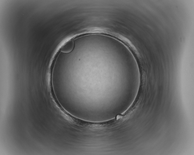 X0000116431424200912081515