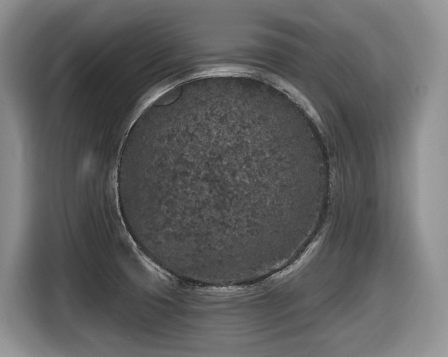 X0000116431425200912081515