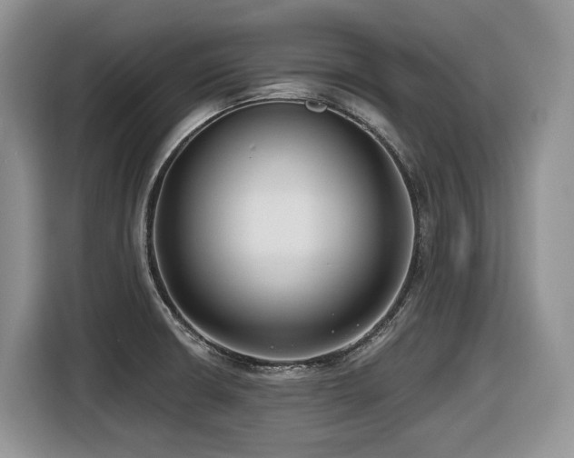 X0000116431426200912081515