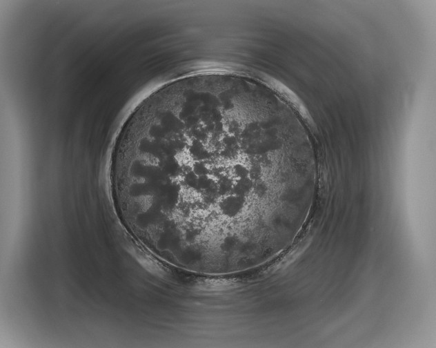 X0000116431427200912081515