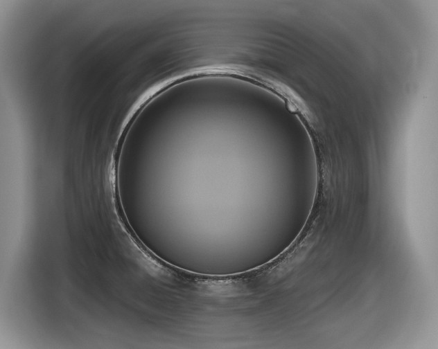 X0000116431428200912081515