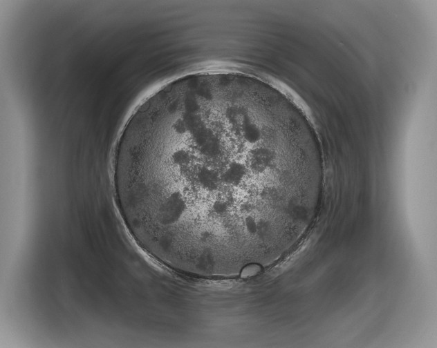 X0000116431429200912081515