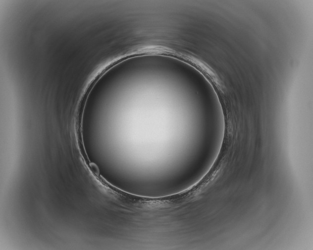 X0000116431430200912081515