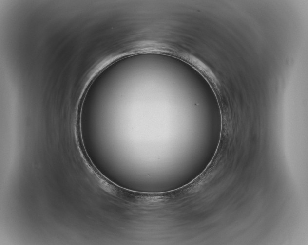 X0000116431431200912081515