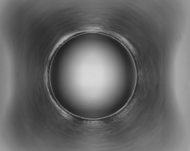 X0000116431432200912081515