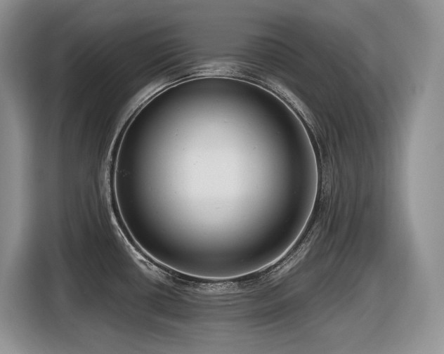 X0000116431434200912081515