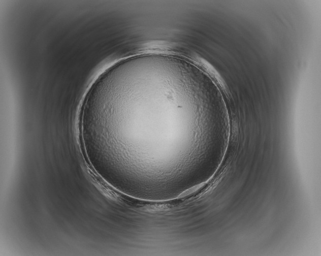 X0000116431435200912081515