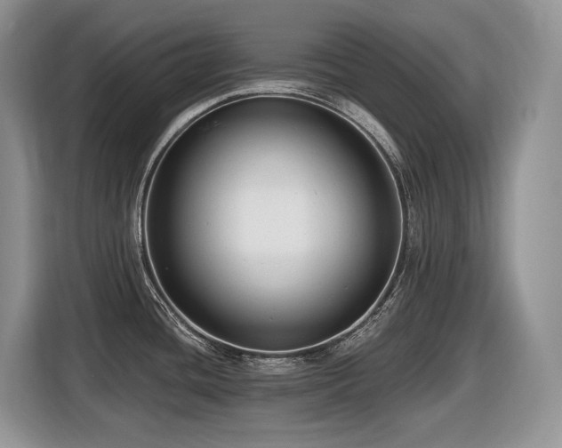 X0000116431436200912081515