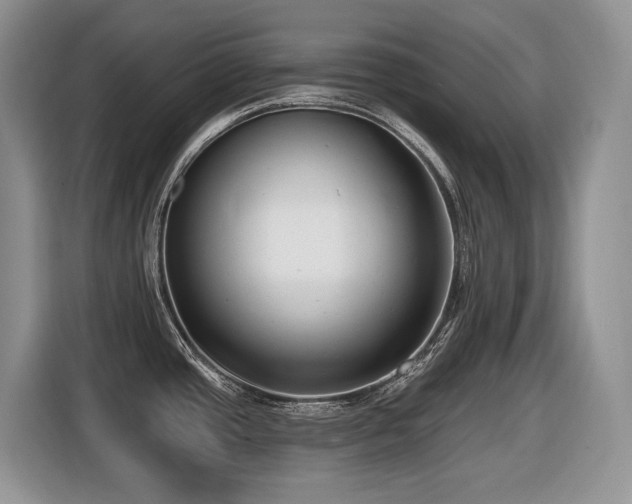 X0000116431437200912081515