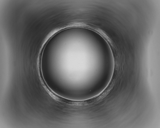 X0000116431438200912081515