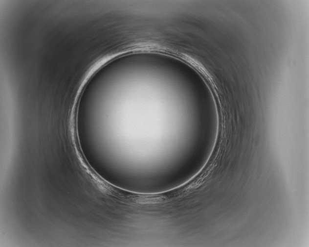 X0000116431440200912081515