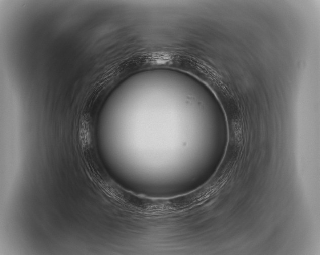 X0000116431442200912081514