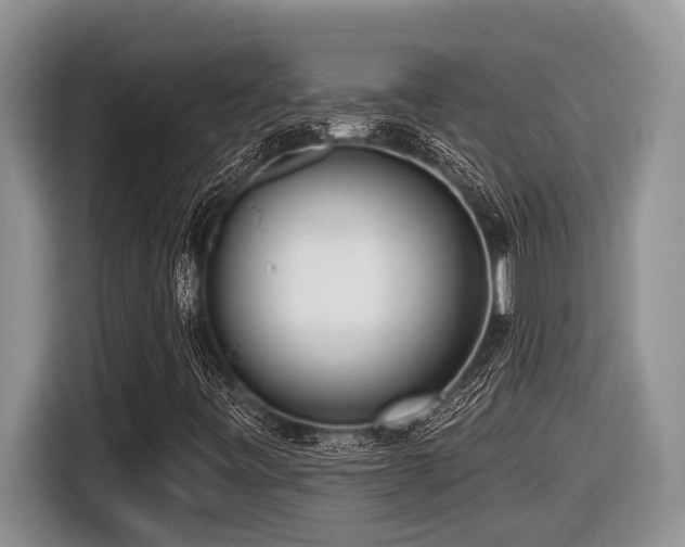 X0000116431443200912081514