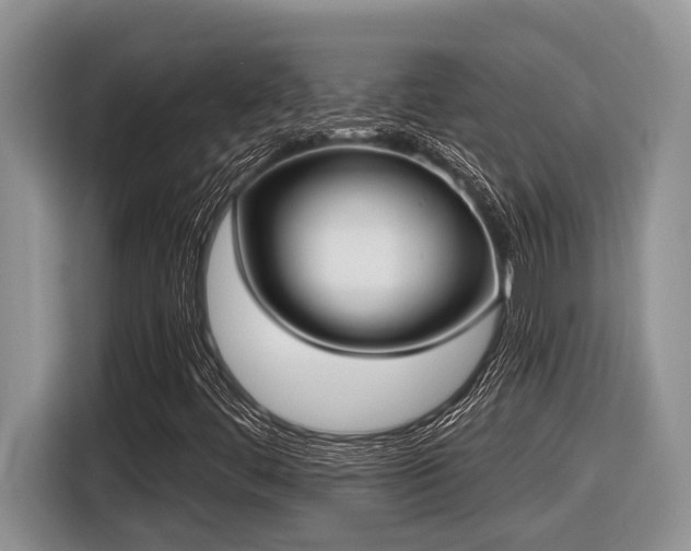 X0000116431444200912081514
