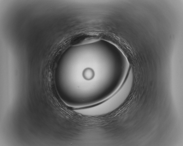 X0000116431445200912081514