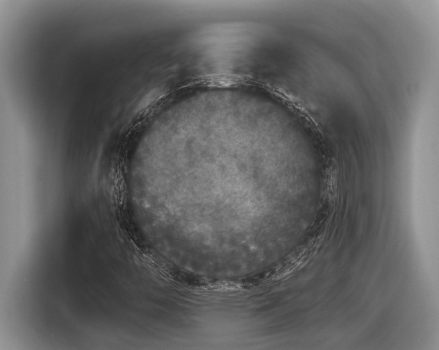 X0000116431446200912081514