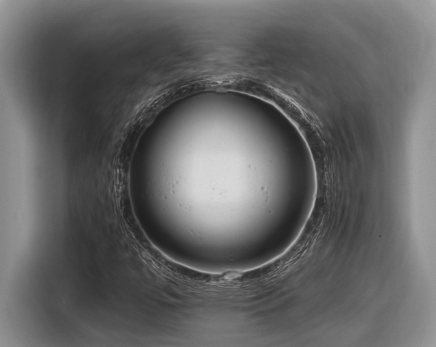 X0000116431447200912081514