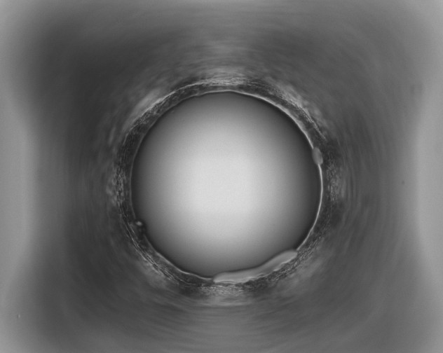 X0000116431448200912081514