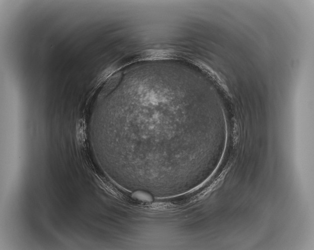 X0000116431449200912081514