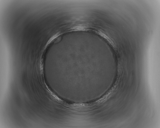 X0000116431450200912081514