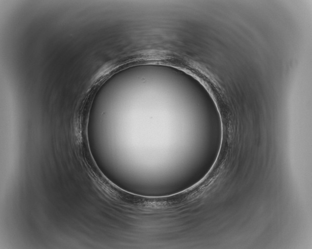 X0000116431451200912081514