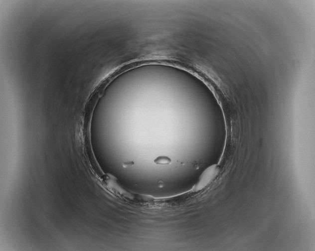 X0000116431452200912081514