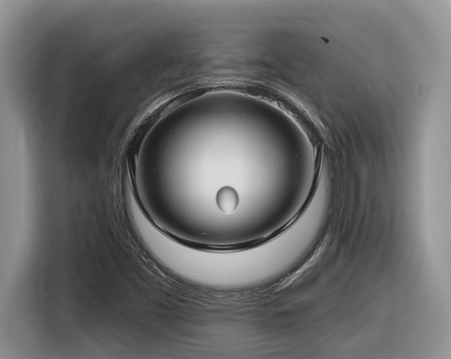 X0000116431453200912081514