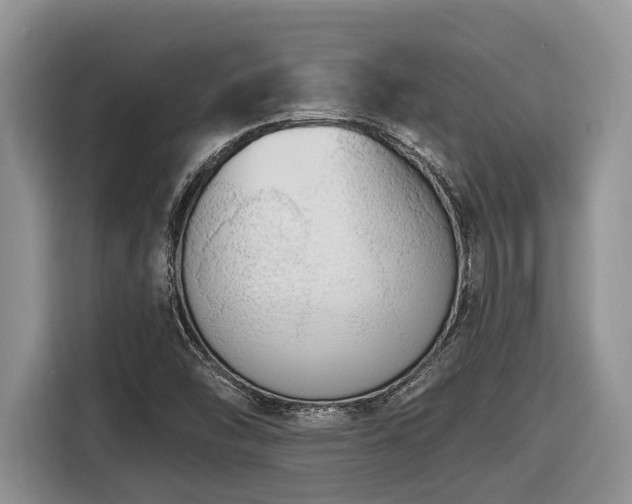 X0000116431454200912081514
