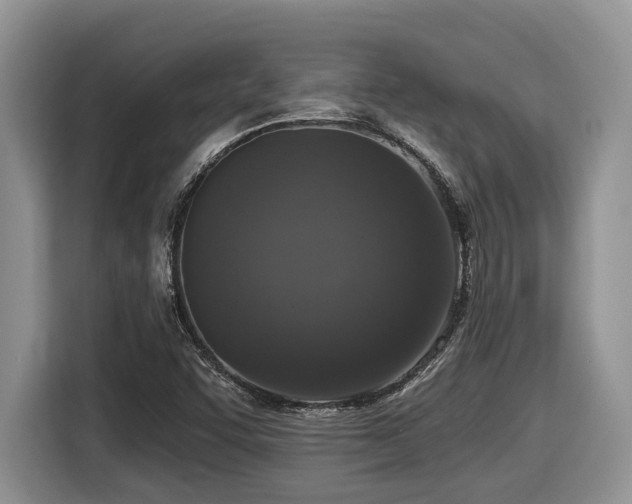 X0000116431455200912081514