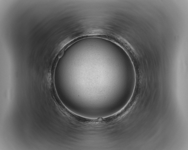 X0000116431457200912081514